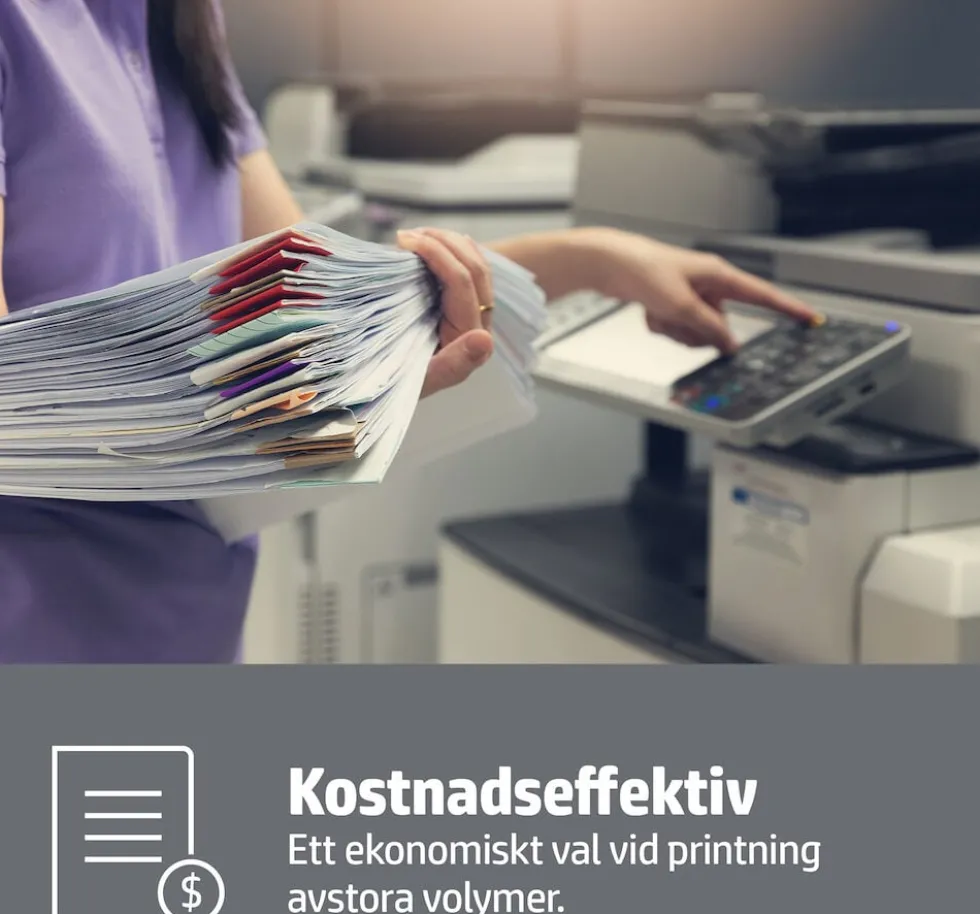 A4 Copy paper 80g ohålat (500) pall