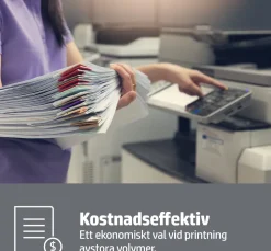 A4 Copy paper 80g ohålat (500) pall