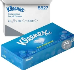 Ansiktsservett Kleenex®, 2 lager, 100/fp