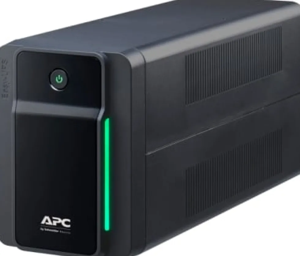 APC Easy UPS BVX Series BVX900LI-GR - UPS - AC 220-240 V - 480