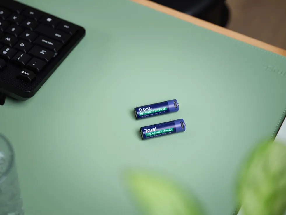 Batteri Laddbar TRUST AA USB-C 2/fp
