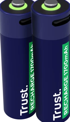 Batteri Laddbar TRUST AA USB-C 2/fp