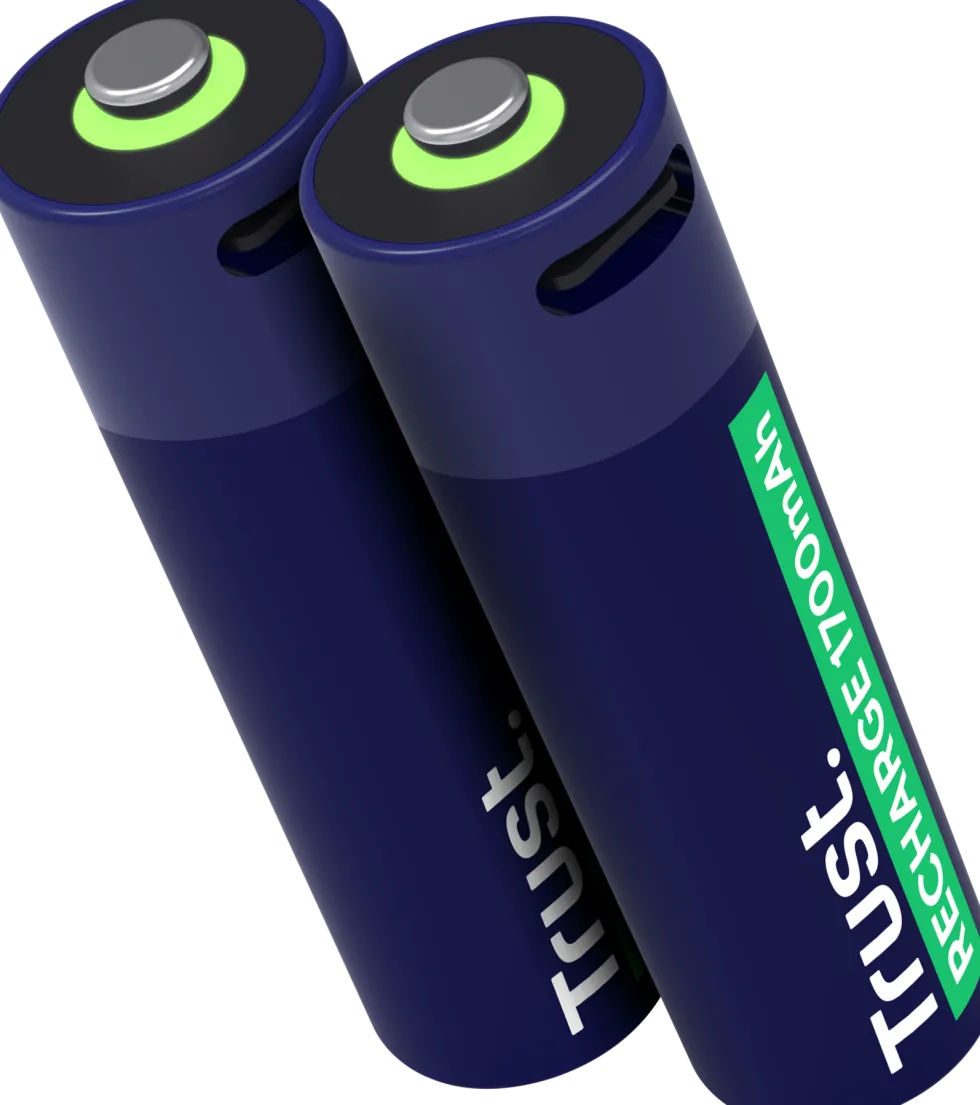 Batteri Laddbar TRUST AA USB-C 2/fp