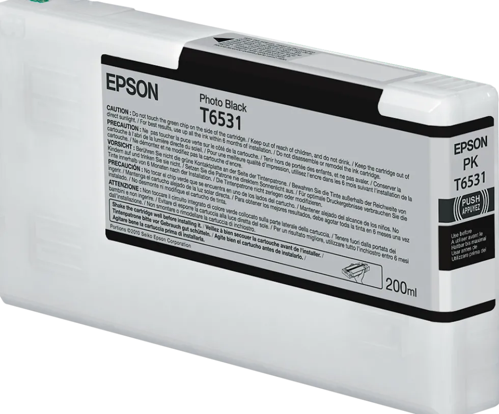 Bläckpatron EPSON C13T653100 fotosvart