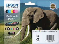 Bläckpatron EPSON C13T24384010 6/FP