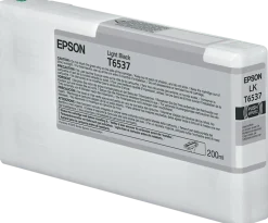 Bläckpatron EPSON C13T653700 ljussvart