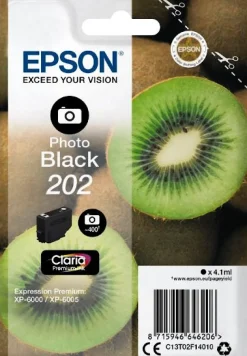 Bläckpatron EPSON T202 Photo Black