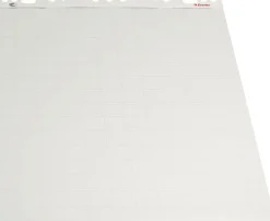 Blädderblock ESSELTE Olinjerat/linjerat/rutat, 55x75cm, 5/fp