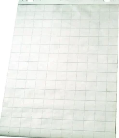 Blädderblock ESSELTE Olinjerat/linjerat/rutat, 60x84cm, 5/fp