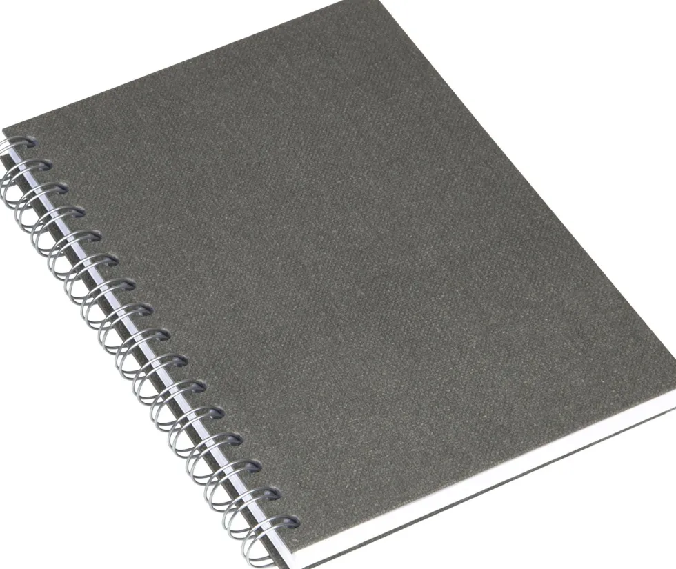 Bok Bigso A5 linj canvas grå