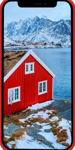 dbramante1928 Greenland - Baksidesskydd för mobiltelefon