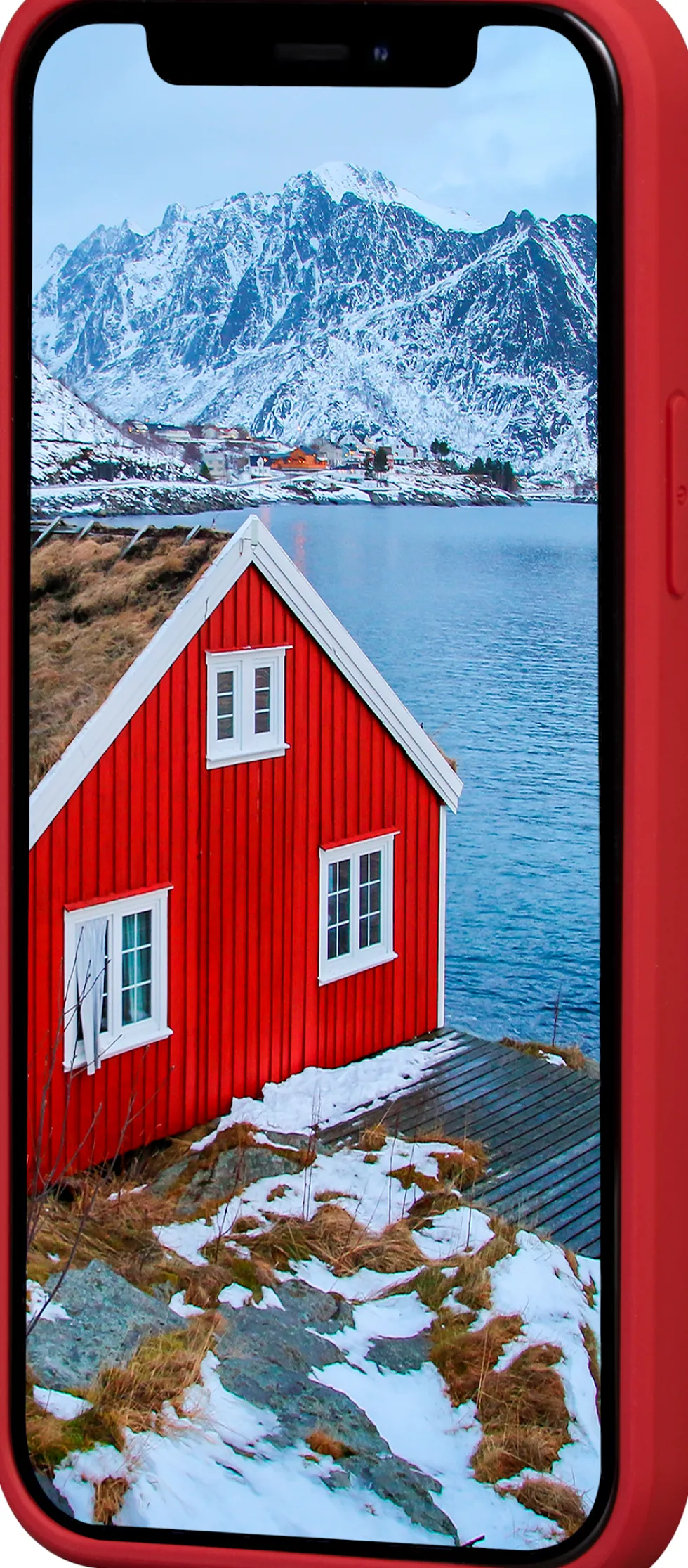 dbramante1928 Greenland - Baksidesskydd för mobiltelefon