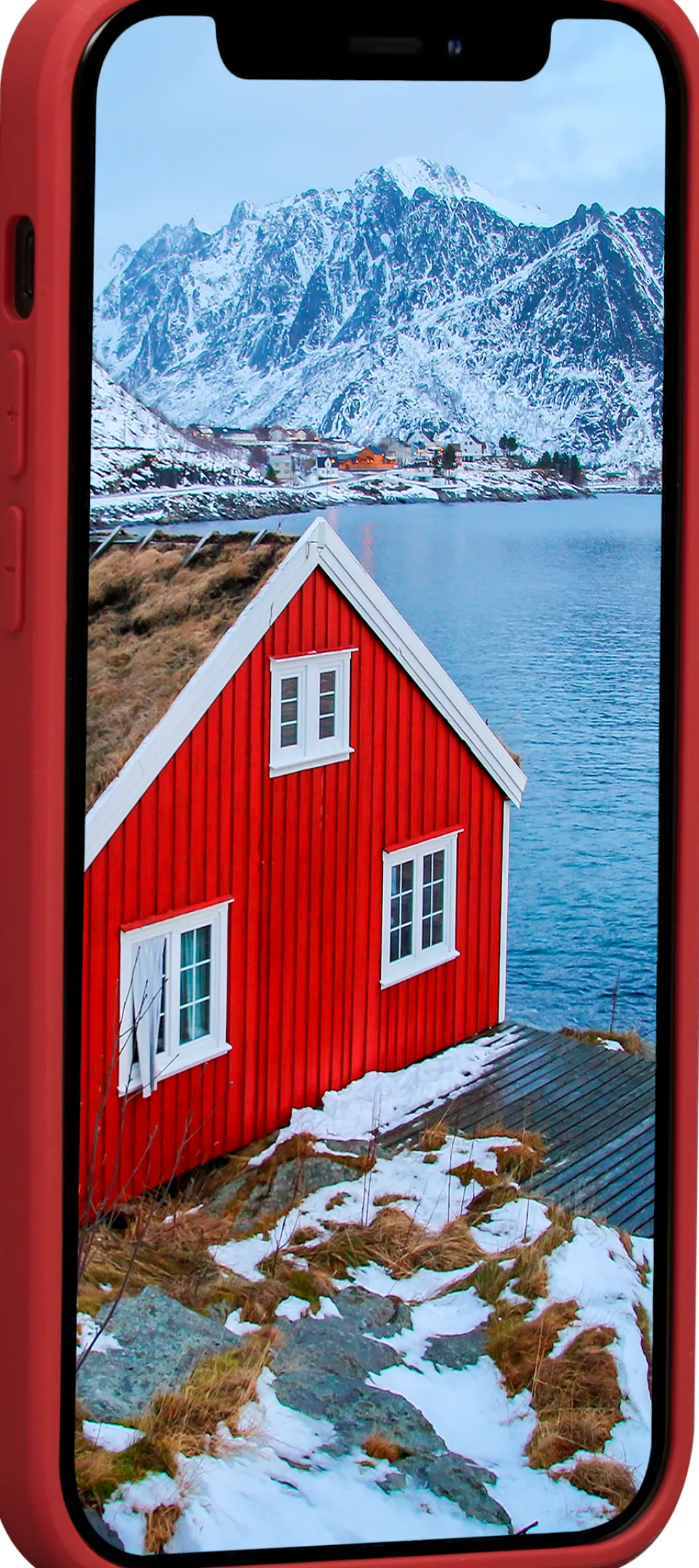 dbramante1928 Greenland - Baksidesskydd för mobiltelefon
