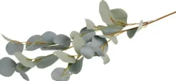 Dekorationskvist Eucalyptus 90cm