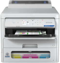 Epson WorkForce Pro EP-C800RDW