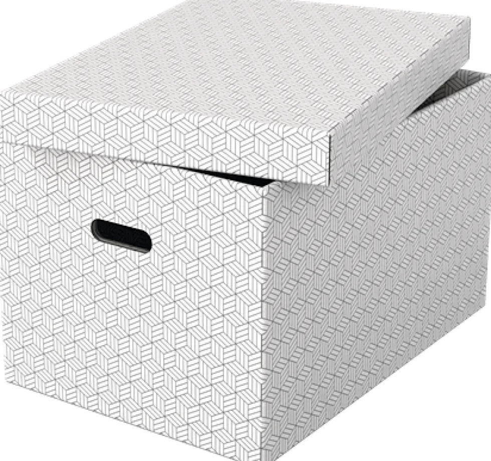 Förvaringsbox Esselte Home vit Large (3)