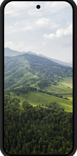 Greenland Google Pixel 10 Pro XL Night Black