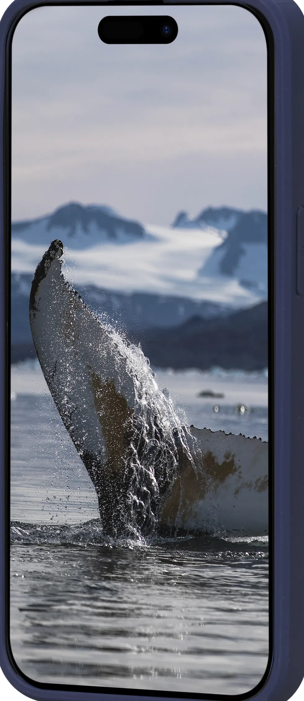 Greenland - iPhone 17e/16e/15/14/13 - Pacific Blue