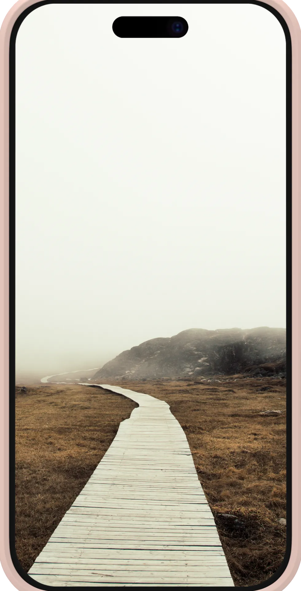 Greenland - iPhone 16 Plus - Pink Sand
