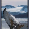Greenland - iPhone 16 ProMax - Pacific Blue