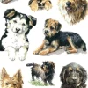 Herma stickers Decor hundar (3)