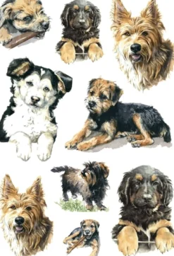 Herma stickers Decor hundar (3)