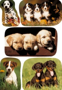 Herma stickers Decor hundar (3)