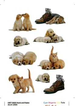 Herma stickers Decor hundvalpar (3)