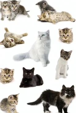 Herma stickers Decor katter (3)