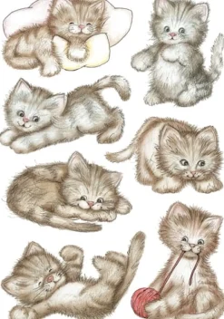 Herma stickers Decor kattungar (3)