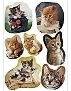 Herma stickers Decor kattungar (3)