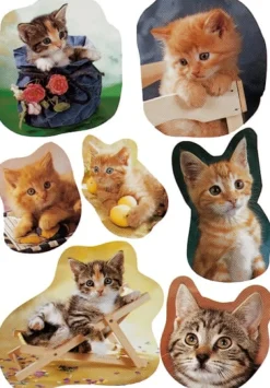 Herma stickers Decor kattungar (3)