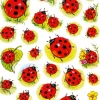 Herma stickers Decor nyckelpiga/blommor (3)