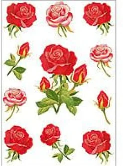 Herma stickers Decor rosor (3)