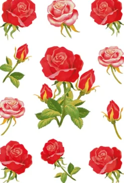 Herma stickers Decor rosor (3)