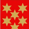 Herma stickers Decor stjärna ø33 guld (3)