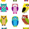 Herma stickers Magic ugglor (1)