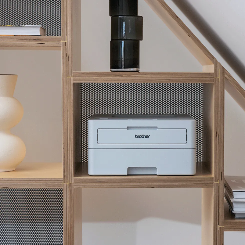 HL-L2865DW mono printer duplex wireless
