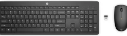 HP 235 Wireless Mouse and Keyboard Combo (English)