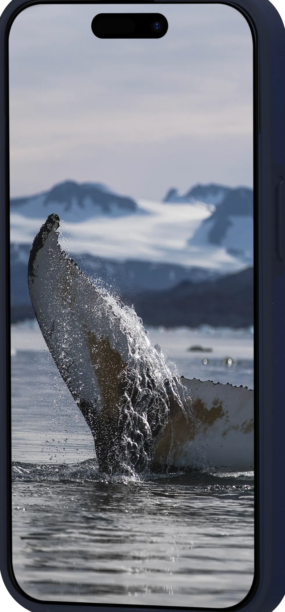 Iceland Ultra D3O MS - iP 17e/16e/15/14/13 - Blue
