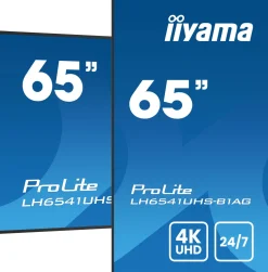 iiyama ProLite LH6541UHS-B1AG - 65