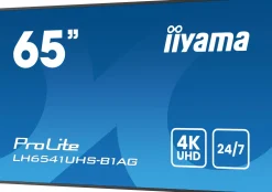 iiyama ProLite LH6541UHS-B1AG - 65