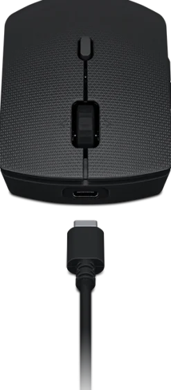 Lenovo Professional - Sats med tangentbord och mus - full size