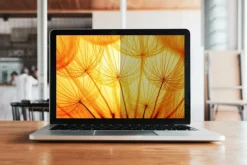 3M Bright privacy Comply Dell 15 2-in-1 (16:10)