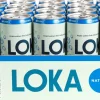 Mineralv. Loka Naturell 33cl s
