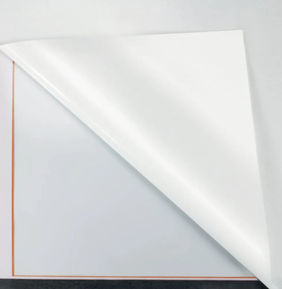 N:Affischram magnetisk A3 orange 2st