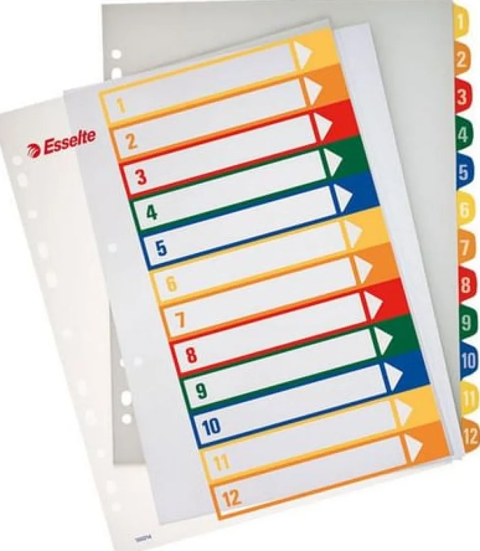 Plastregister Plast ESSELTE Projektindex A4+ 1-12