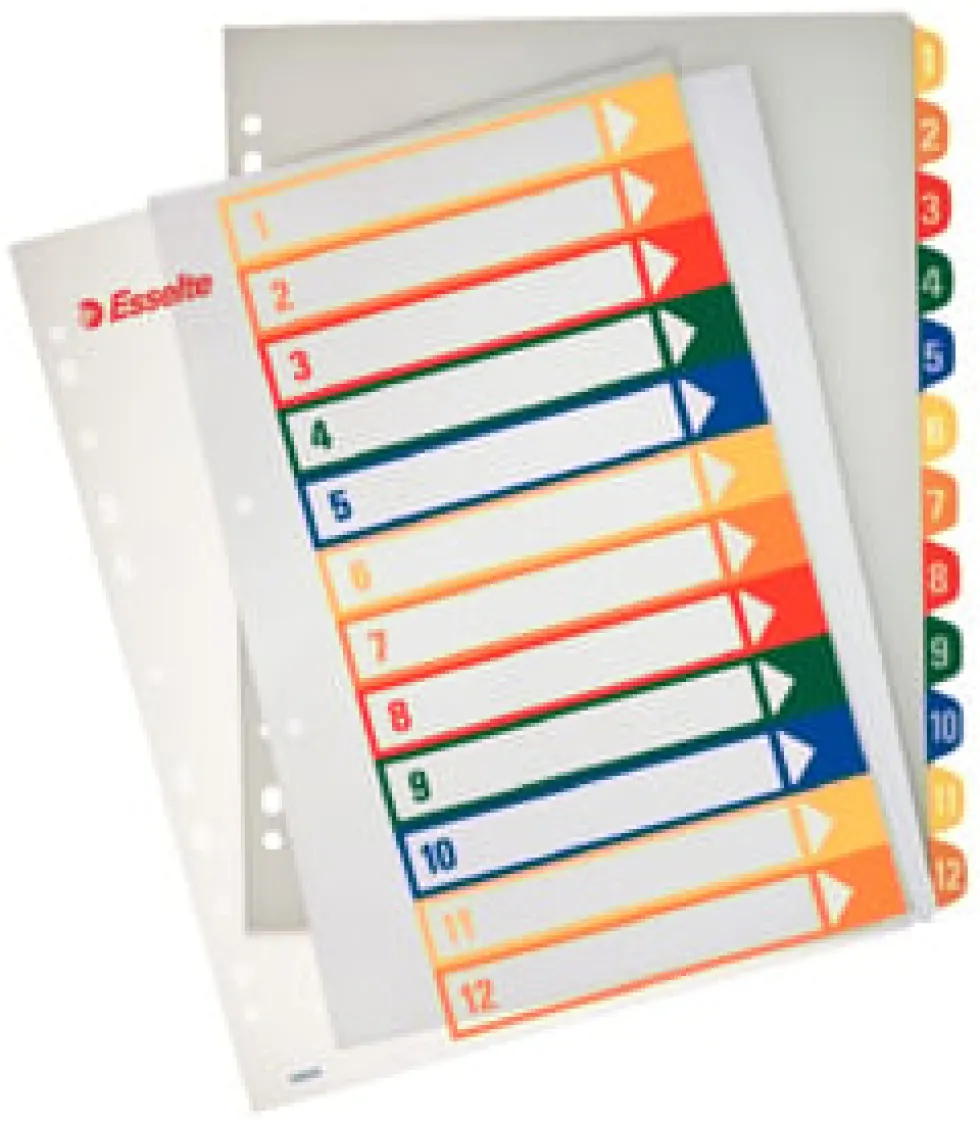 Plastregister Plast ESSELTE Projektindex A4+ 1-12