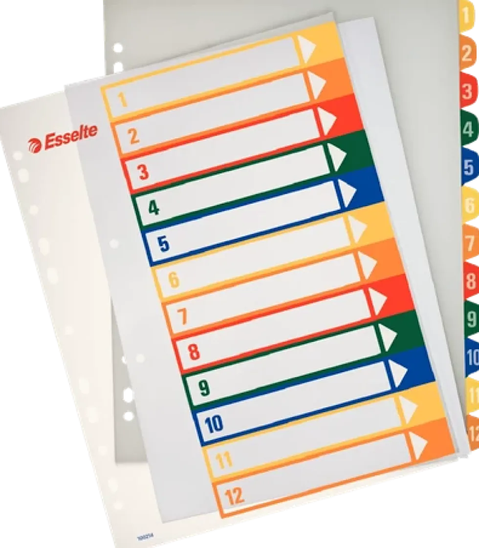 Plastregister Plast ESSELTE Projektindex A4+ 1-12