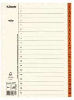 Pärmregister ESSELTE A4 1-20, flikförstärk